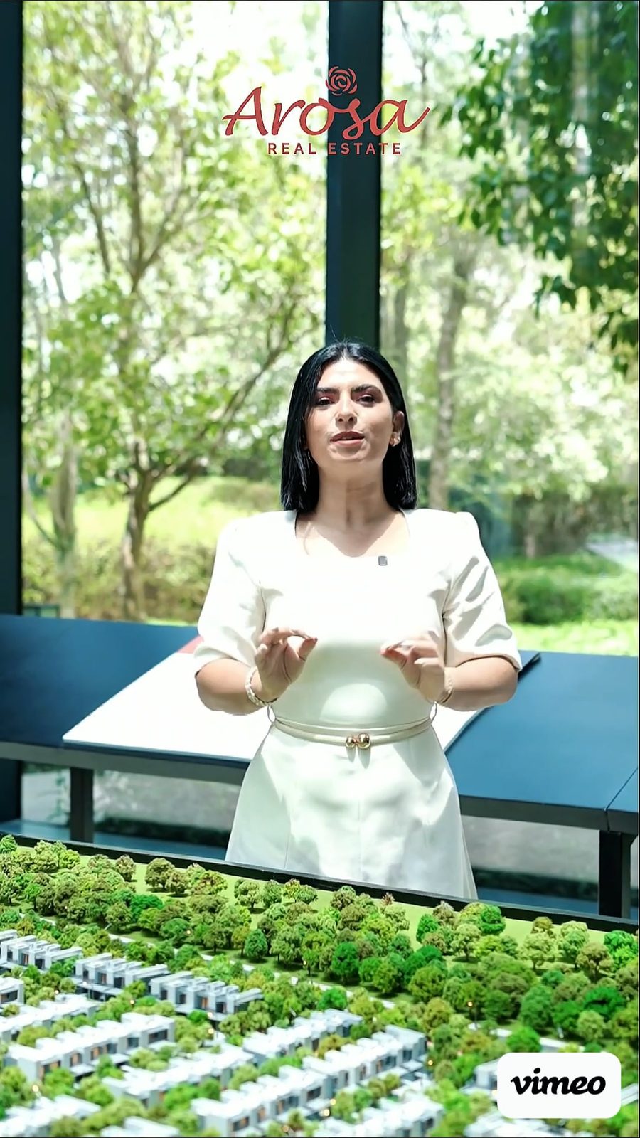 Dubai real estate films